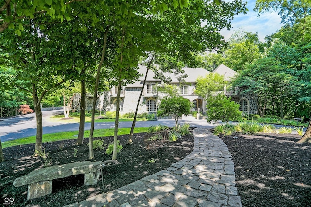 11557 Willow Springs Dr, Zionsville, IN 46077 - view of property's community