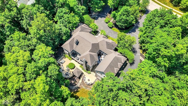 11557 Willow Springs Dr, Zionsville, IN 46077 - aerial view