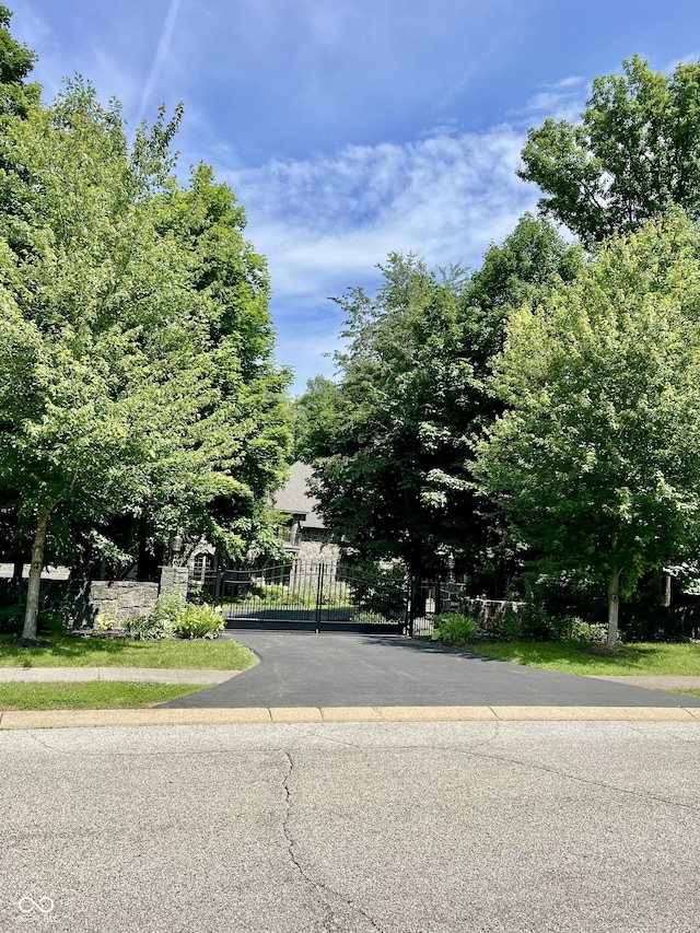 11557 Willow Springs Dr, Zionsville, IN 46077 - view of asphalt road with a gate and sidewalks
