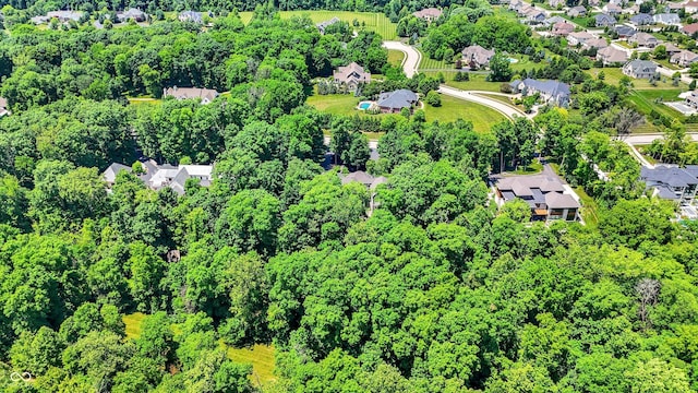 11557 Willow Springs Dr, Zionsville, IN 46077 - aerial view of property's location