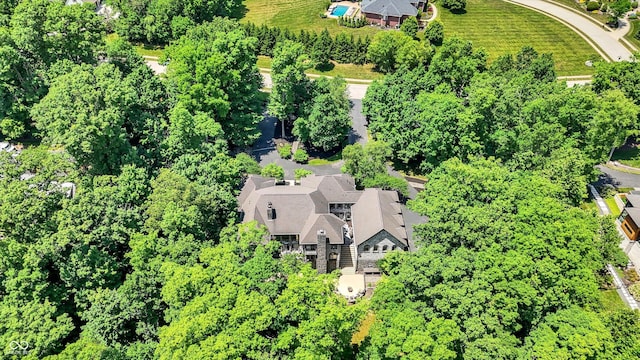 11557 Willow Springs Dr, Zionsville, IN 46077 - bird's eye view