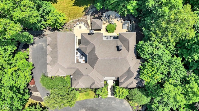 11557 Willow Springs Dr, Zionsville, IN 46077 - drone / aerial view
