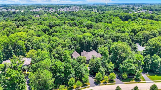 11557 Willow Springs Dr, Zionsville, IN 46077 - aerial view of a forest