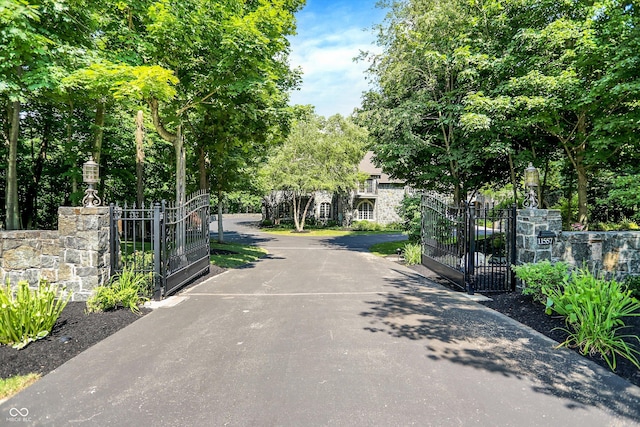 11557 Willow Springs Dr, Zionsville, IN 46077 - view of asphalt driveway featuring a gate and a gated entry