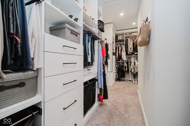 5706 Bentbrook Dr, Bargersville, IN 46106 - walk in closet featuring light colored carpet