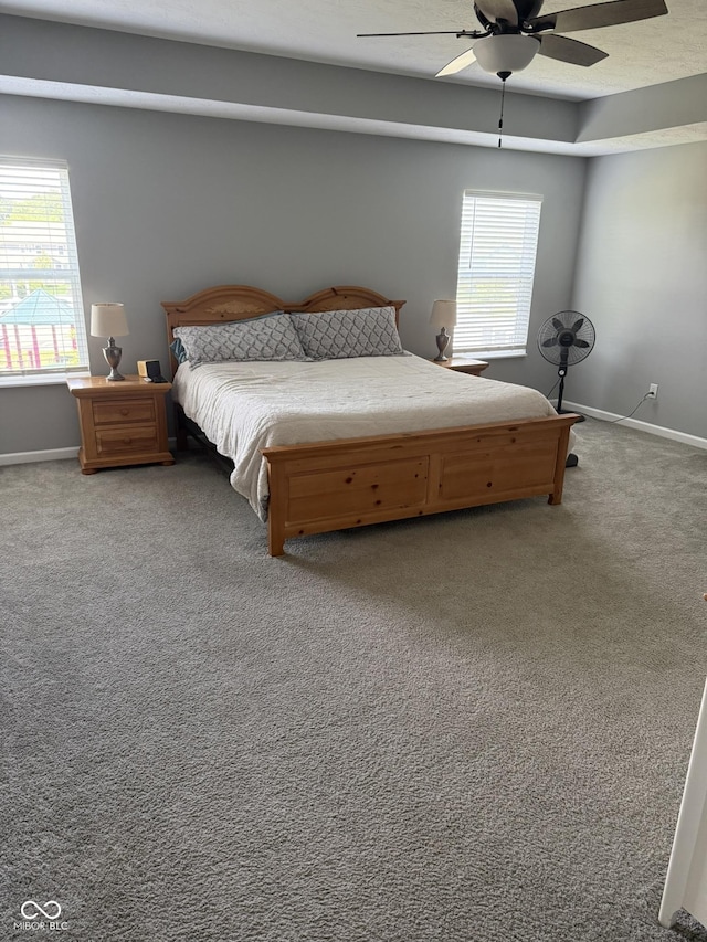 15961 Foothill Dr, Noblesville, IN 46060 - bedroom with carpet, multiple windows, and ceiling fan