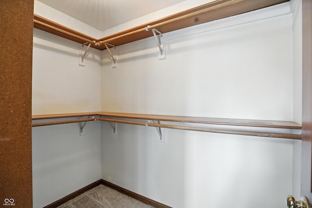 1326 Pebble Brook Dr, Noblesville, IN 46062 - walk in closet featuring carpet