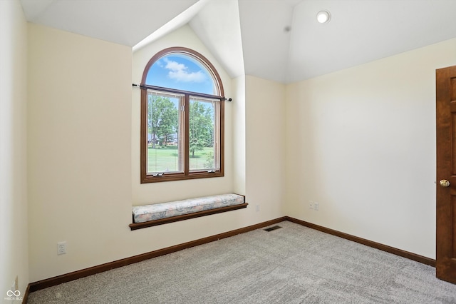 1326 Pebble Brook Dr, Noblesville, IN 46062 - spare room with carpet and lofted ceiling