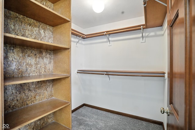 1326 Pebble Brook Dr, Noblesville, IN 46062 - walk in closet featuring carpet floors
