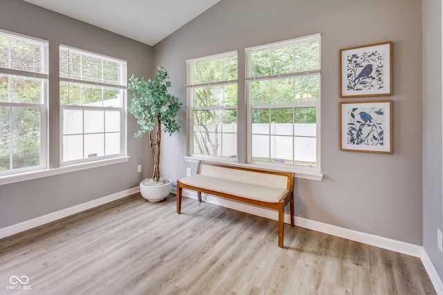 2289 Salem Park Dr, Indianapolis, IN 46239 - living area with vaulted ceiling and light wood-style floors