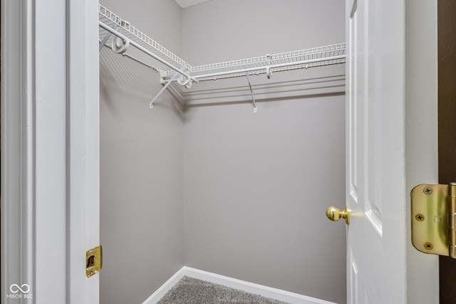 2289 Salem Park Dr, Indianapolis, IN 46239 - walk in closet with carpet