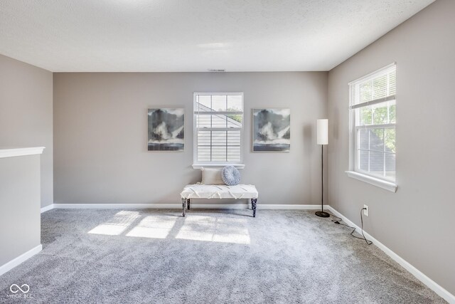 2289 Salem Park Dr, Indianapolis, IN 46239 - living area with carpet flooring and baseboards