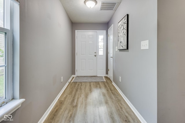 2289 Salem Park Dr, Indianapolis, IN 46239 - entryway featuring light wood-type flooring and plenty of natural light