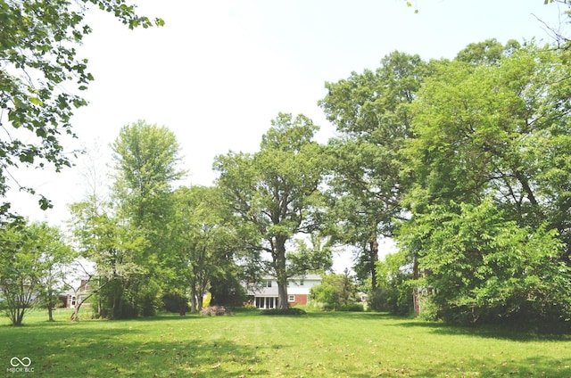 3115 E 400 S, Anderson, IN 46017 - view of green lawn