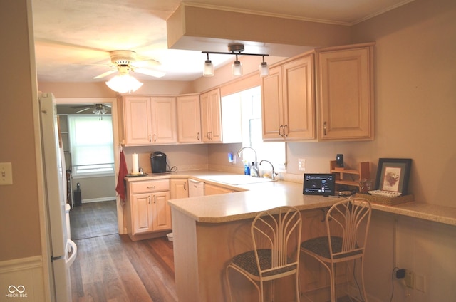 3115 E 400 S, Anderson, IN 46017 - kitchen with a peninsula, a ceiling fan, white appliances, wood finished floors, and light countertops