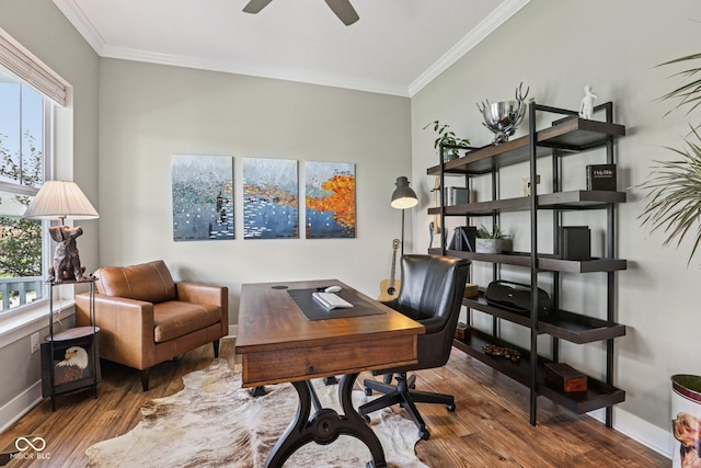 2105 Granville Dr, Westfield, IN 46074 - office area with plenty of natural light, wood finished floors, crown molding, and a ceiling fan