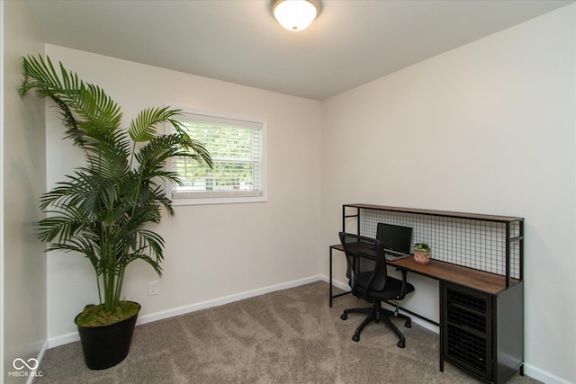 717 Berkeley Dr, Shelbyville, IN 46176 - home office featuring carpet flooring and baseboards
