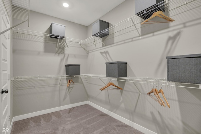 17030 Daly Dr, Noblesville, IN 46062 - walk in closet featuring carpet floors