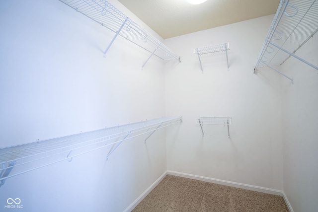 6471 W Clearview Dr, Mccordsville, IN 46055 - spacious closet with light carpet