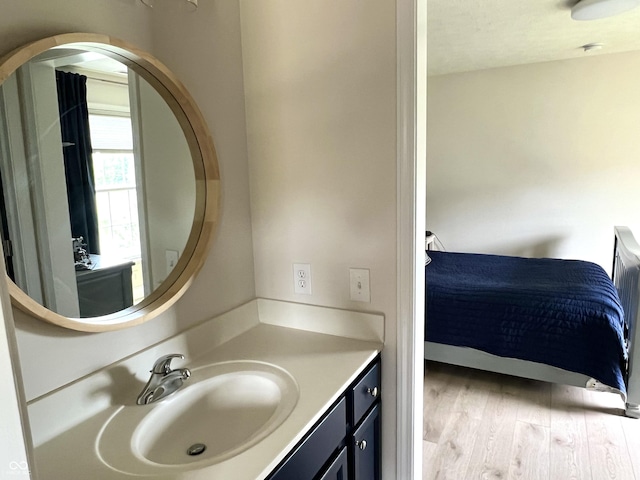 13895 Cloverfield Cir, Fishers, IN 46038 - ensuite bathroom with vanity and wood finished floors