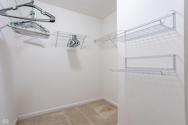 3872 Dusty Sands Rd, Whitestown, IN 46075 - spacious closet featuring light colored carpet