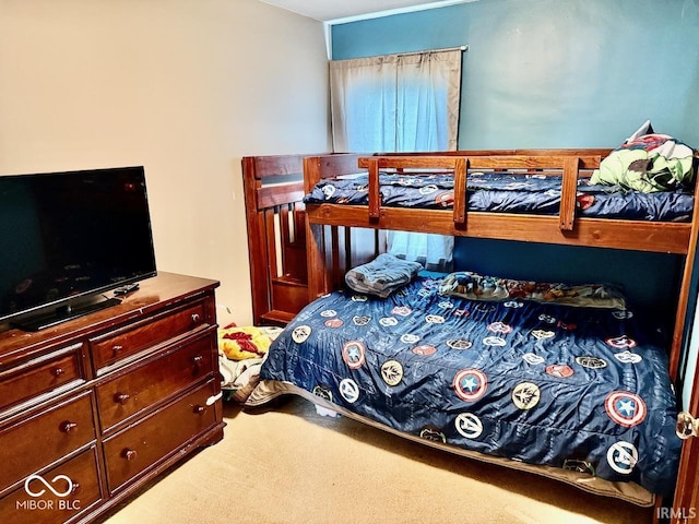 313 S Brittain Ave, Muncie, IN 47303 - bedroom featuring carpet flooring