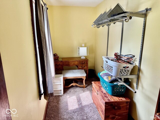313 S Brittain Ave, Muncie, IN 47303 - spacious closet featuring carpet flooring