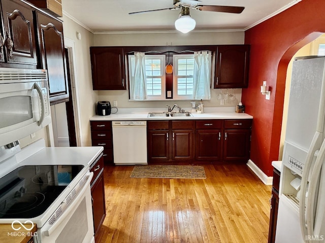 313 S Brittain Ave, Muncie, IN 47303 - kitchen featuring white appliances, arched walkways, light wood-style flooring, a ceiling fan, and light countertops