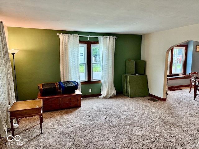 313 S Brittain Ave, Muncie, IN 47303 - sitting room featuring arched walkways and carpet flooring
