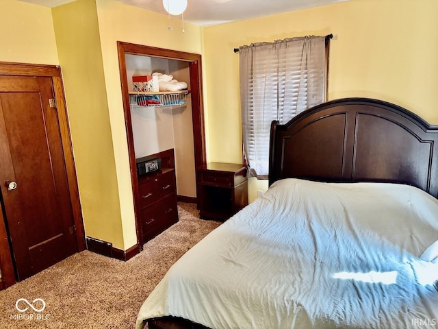 313 S Brittain Ave, Muncie, IN 47303 - bedroom featuring carpet and a closet