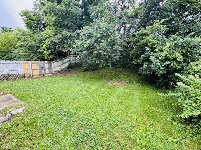 5938 Tybalt Ln, Indianapolis, IN 46254 - view of yard