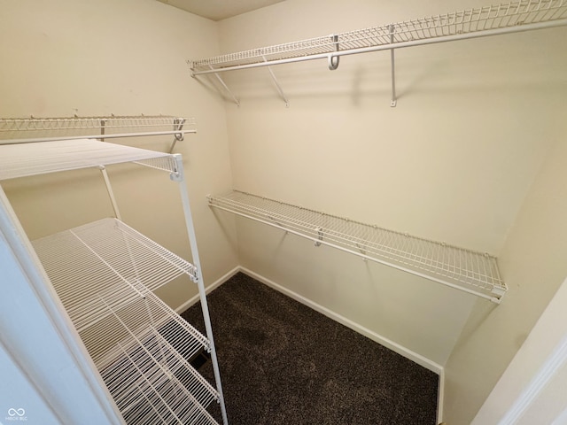 5938 Tybalt Ln, Indianapolis, IN 46254 - walk in closet with carpet floors