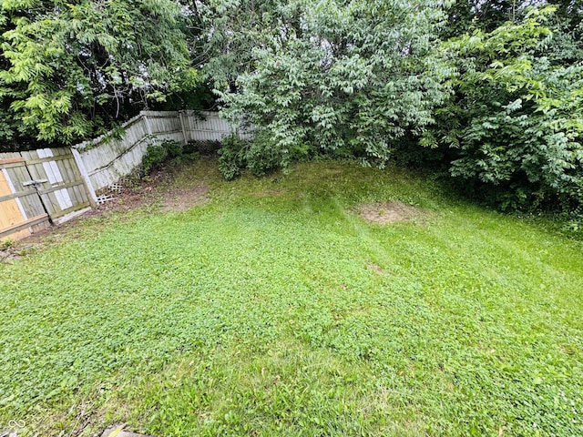 5938 Tybalt Ln, Indianapolis, IN 46254 - view of yard