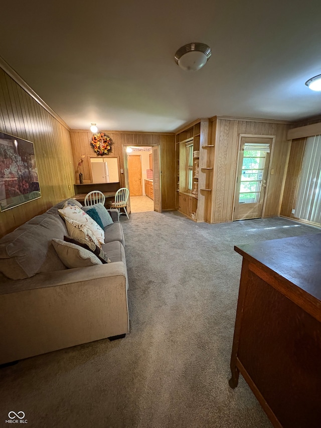 4609 Andover Rd, Indianapolis, IN 46226 - living room featuring wooden walls and carpet floors