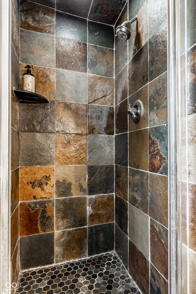 7743 Camelback Dr, Indianapolis, IN 46250 - bathroom with a tile shower