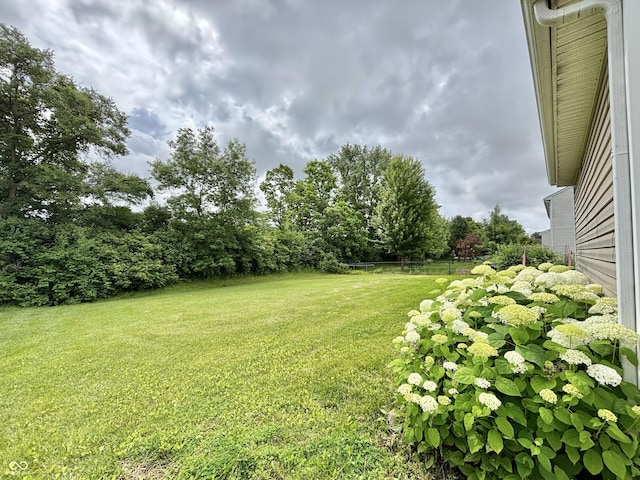5571 Auburndale Dr, Bargersville, IN 46106 - view of green lawn