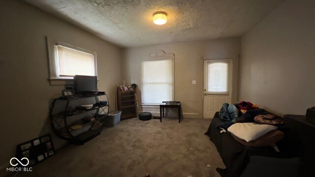 37 Parkview Ave, Indianapolis, IN 46201 - photo 27