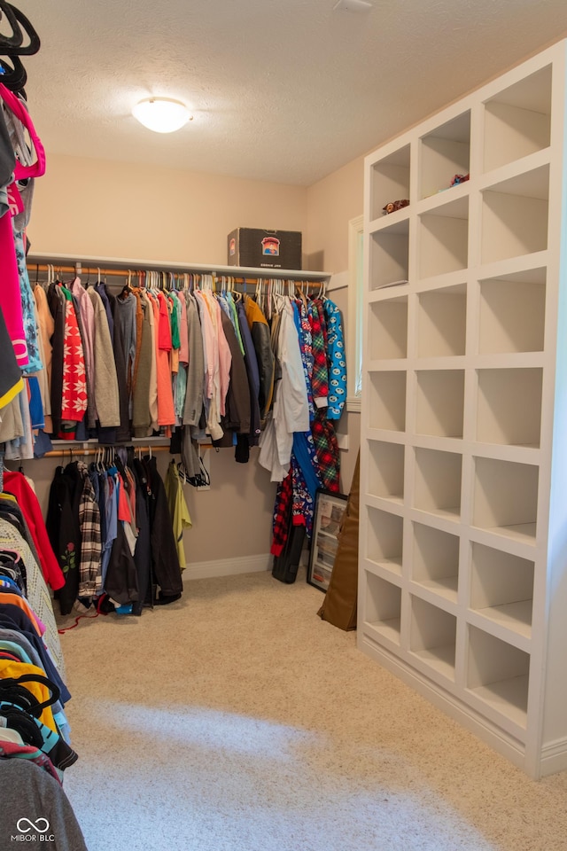 23119 Sonoma Ln, Cicero, IN 46034 - walk in closet with carpet