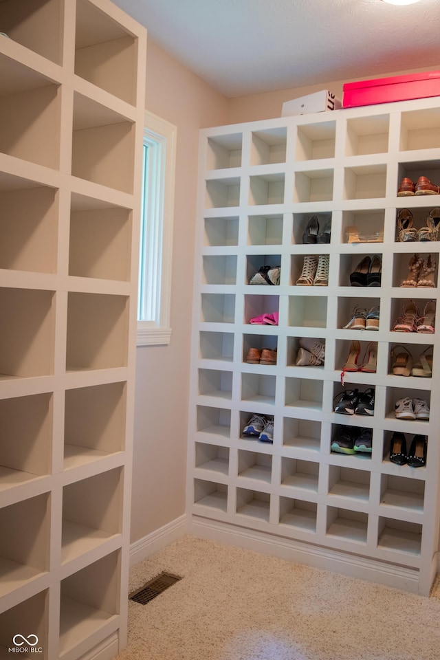 23119 Sonoma Ln, Cicero, IN 46034 - walk in closet featuring carpet floors