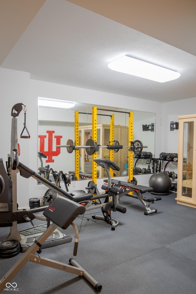 23119 Sonoma Ln, Cicero, IN 46034 - view of workout area