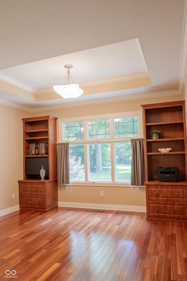 23119 Sonoma Ln, Cicero, IN 46034 - unfurnished living room featuring crown molding, plenty of natural light, a tray ceiling, and light wood-style floors