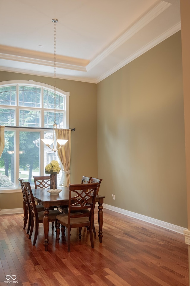 23119 Sonoma Ln, Cicero, IN 46034 - dining room featuring a raised ceiling, wood finished floors, and ornamental molding