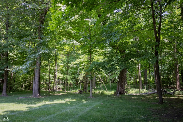 23119 Sonoma Ln, Cicero, IN 46034 - view of grassy yard with a forest view