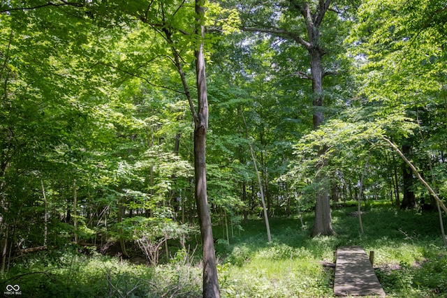 23119 Sonoma Ln, Cicero, IN 46034 - view of woods