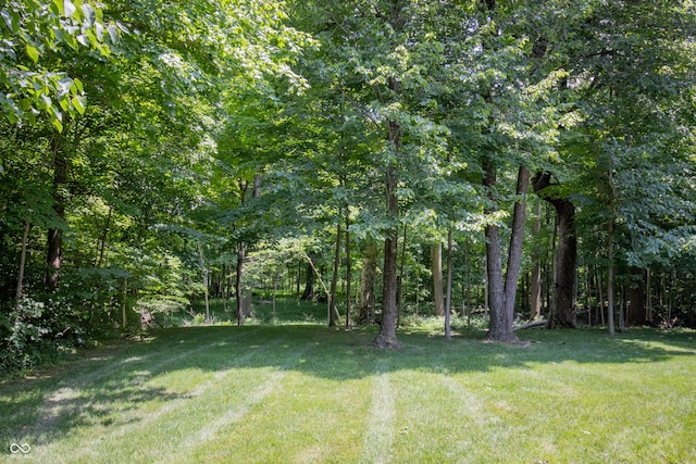 23119 Sonoma Ln, Cicero, IN 46034 - view of grassy yard featuring a wooded view