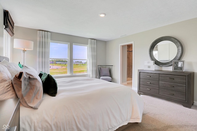 16876 Daly Dr, Noblesville, IN 46062 - bedroom featuring light carpet and ensuite bathroom