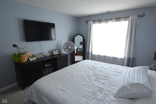 12389 Titans Dr, Fishers, IN 46037 - bedroom with carpet floors and a textured ceiling