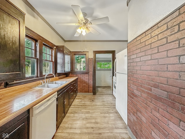 1011 W 7th St, Anderson, IN 46016 - kitchen featuring white appliances, light wood-style floors, dark brown cabinets, plenty of natural light, and ornamental molding