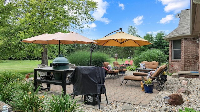 8818 Mathews Rd, Indianapolis, IN 46259 - view of patio / terrace with grilling area and an outdoor hangout area