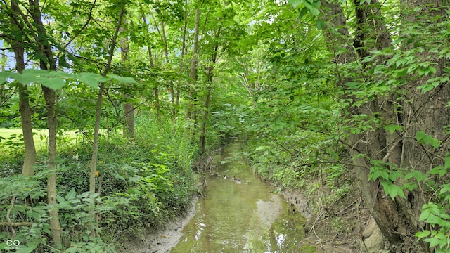 8818 Mathews Rd, Indianapolis, IN 46259 - view of local wilderness